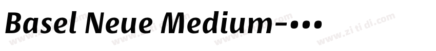 Basel Neue Medium字体转换